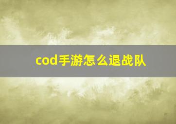 cod手游怎么退战队