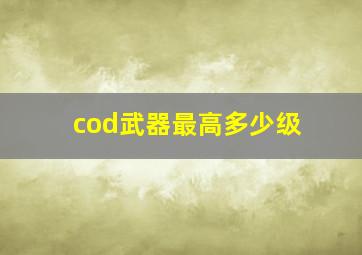 cod武器最高多少级