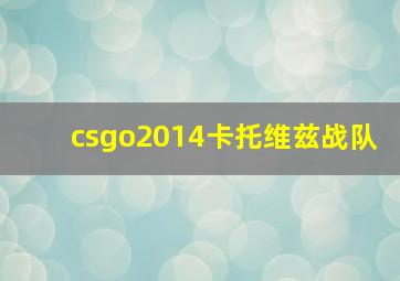 csgo2014卡托维兹战队