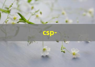 csp-