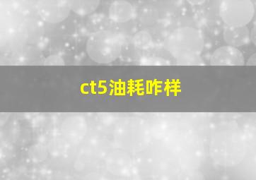 ct5油耗咋样