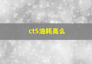 ct5油耗高么