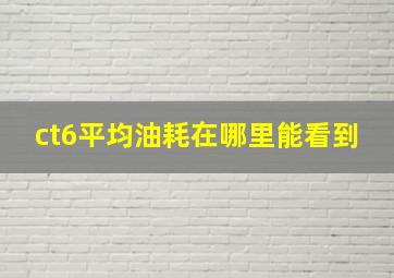 ct6平均油耗在哪里能看到