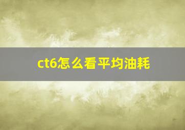 ct6怎么看平均油耗