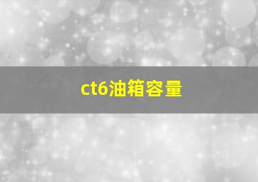 ct6油箱容量