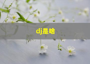 dj是啥