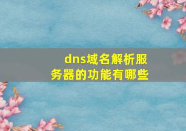 dns域名解析服务器的功能有哪些