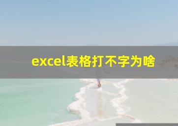 excel表格打不字为啥