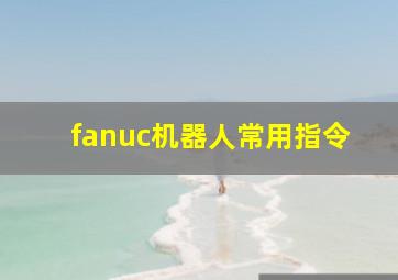 fanuc机器人常用指令