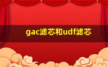 gac滤芯和udf滤芯