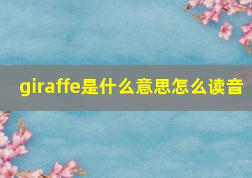 giraffe是什么意思怎么读音