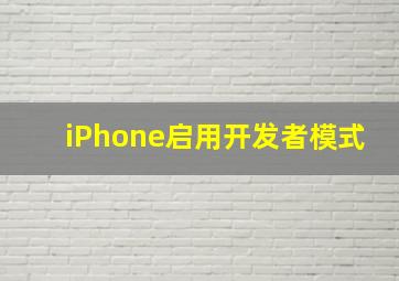 iPhone启用开发者模式