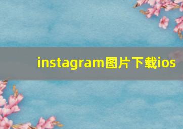 instagram图片下载ios