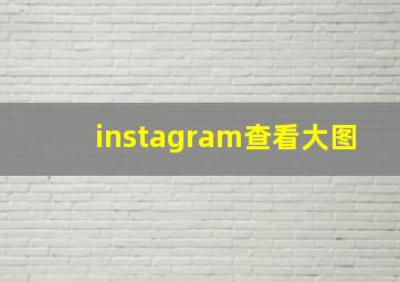 instagram查看大图