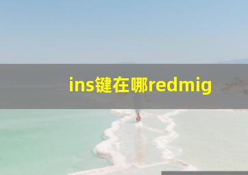 ins键在哪redmig