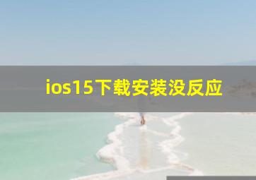 ios15下载安装没反应