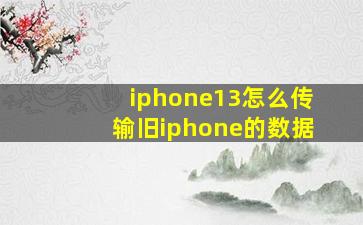 iphone13怎么传输旧iphone的数据