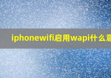 iphonewifi启用wapi什么意思