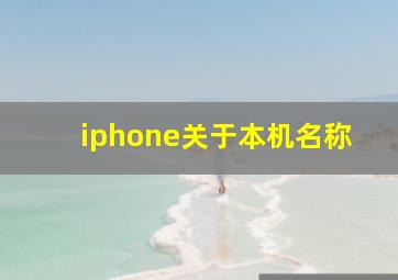 iphone关于本机名称