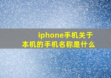 iphone手机关于本机的手机名称是什么