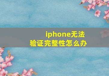 iphone无法验证完整性怎么办