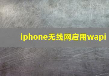 iphone无线网启用wapi