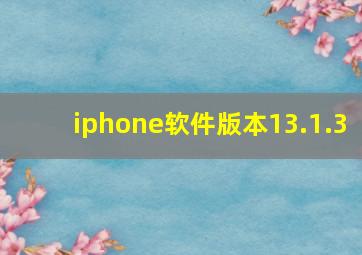 iphone软件版本13.1.3