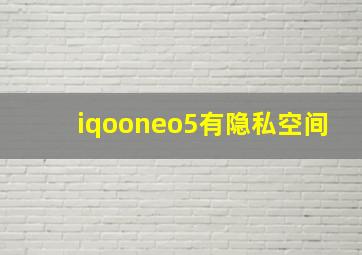 iqooneo5有隐私空间