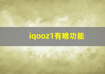 iqooz1有啥功能