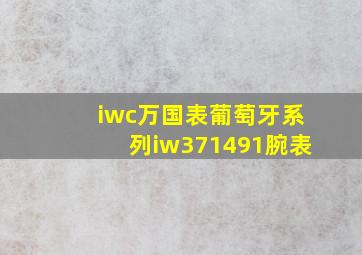 iwc万国表葡萄牙系列iw371491腕表