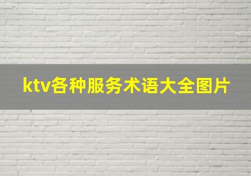 ktv各种服务术语大全图片