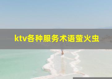 ktv各种服务术语萤火虫