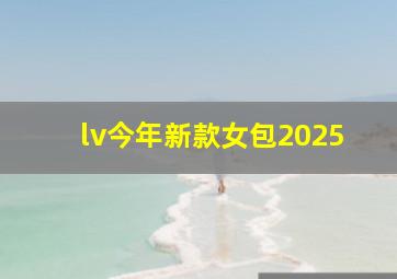 lv今年新款女包2025