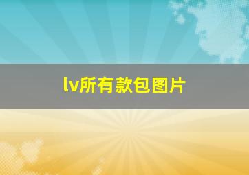 lv所有款包图片