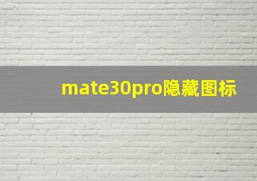 mate30pro隐藏图标