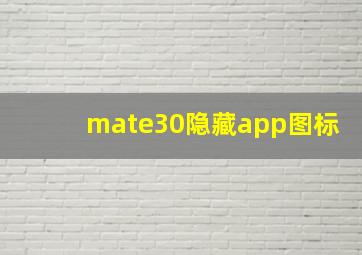 mate30隐藏app图标