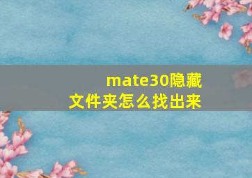 mate30隐藏文件夹怎么找出来