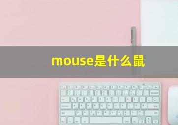 mouse是什么鼠