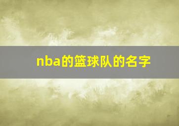 nba的篮球队的名字