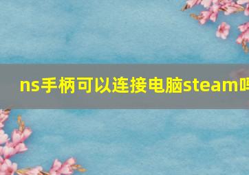 ns手柄可以连接电脑steam吗