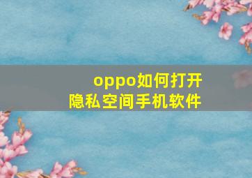 oppo如何打开隐私空间手机软件