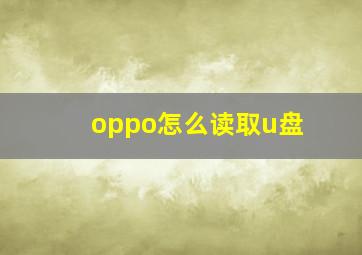 oppo怎么读取u盘