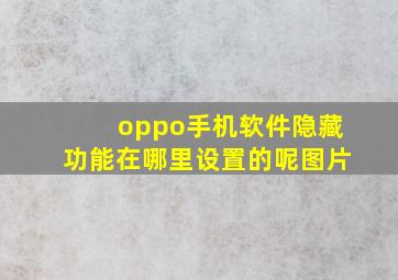 oppo手机软件隐藏功能在哪里设置的呢图片