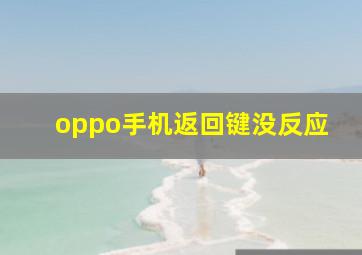 oppo手机返回键没反应