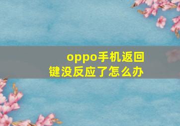 oppo手机返回键没反应了怎么办