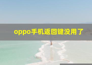 oppo手机返回键没用了