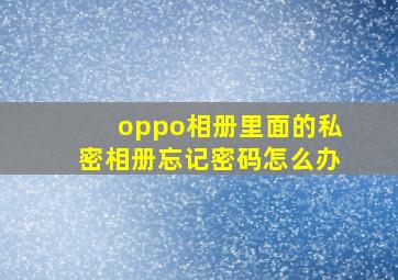 oppo相册里面的私密相册忘记密码怎么办