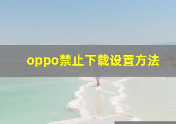 oppo禁止下载设置方法