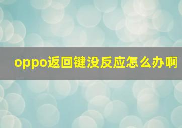 oppo返回键没反应怎么办啊