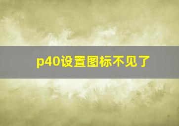 p40设置图标不见了